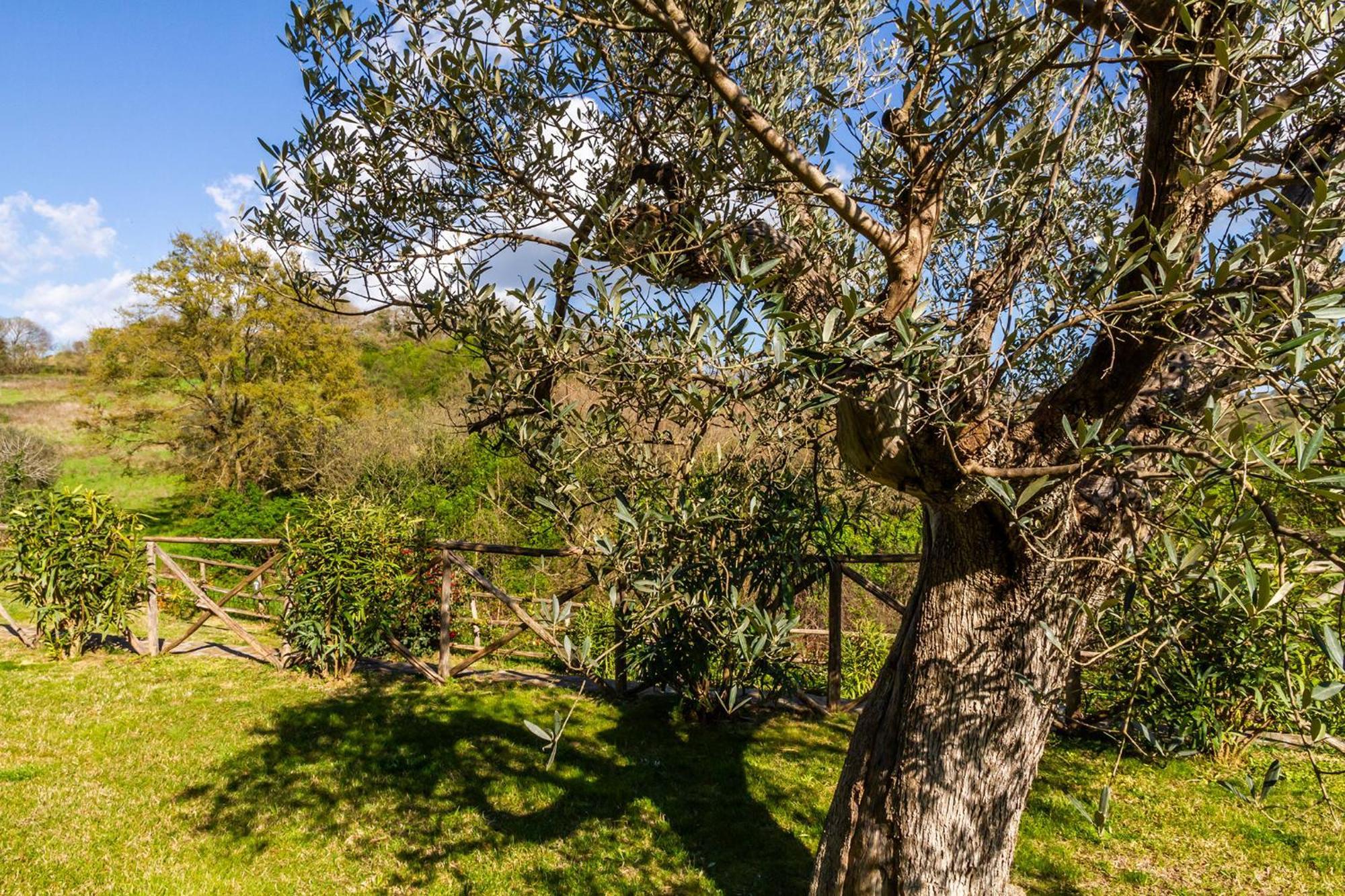 Home With A View In Scansano, Tuscany 외부 사진